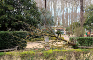 Girona suspèn les activitats a l’aire lliure per precaució i Salellas es queixa del poc suport del Govern