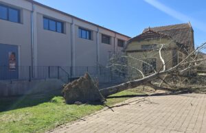 Un arbre caigut sobre una línia d’alta tensió deixa 2.900 clients sense subministrament al Ripollès