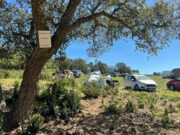 Els Mossos donen per desmantellada la rave de les Gavarres i els darrers vehicles hauran de marxar en les pròximes hores