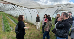 Ordeig vol augmentar l’agricultura i la ramaderia ecològiques ampliant els dinamitzadors i conscienciant els consumidors