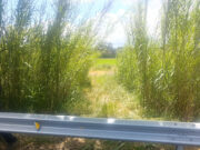 Unió de Pagesos denuncia que la Diputació ha tancat l’accés a uns camps en una carretera de Castelló d’Empúries