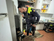 Blanes tanca quatre locals d’oci i restauració els darrers tres anys per incomplir reiteradament la normativa