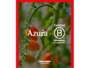 La certificació B Corp avala el compromís sostenible d’Azura