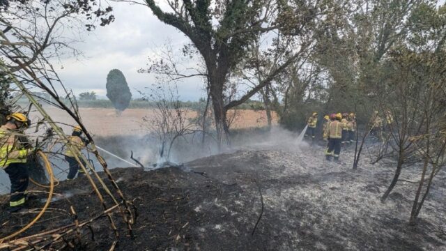 Imatge de l'incendi d'un vehicle que ha afectat vegetació forestal a Figueres (Bombers)